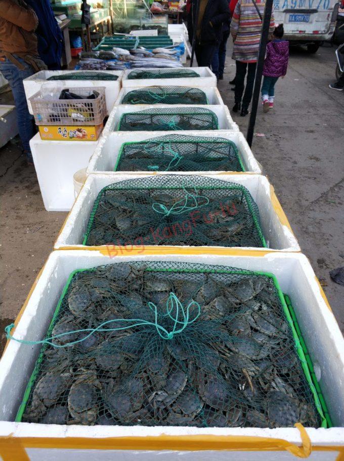 中国旅行 西安 中国の市場で売られている蟹