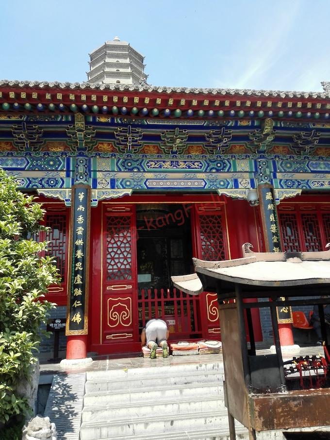 中国旅行 西安 法門寺 シルクロード