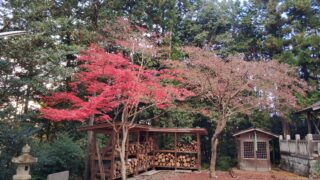 奈良　吉野山　紅葉　花見　桜