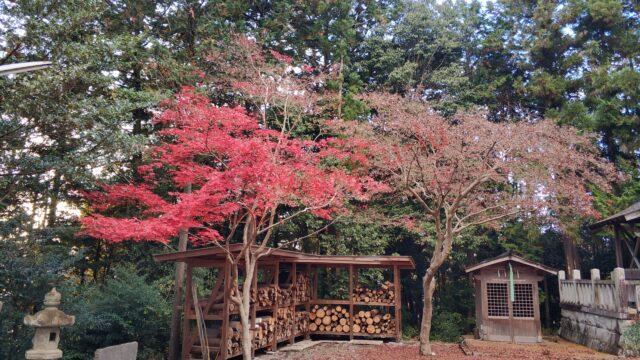 奈良 吉野山 紅葉 花見 桜