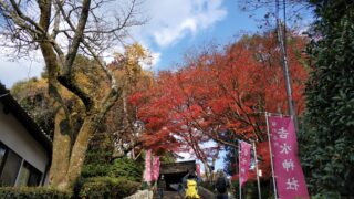 奈良　吉野山　紅葉　花見　桜