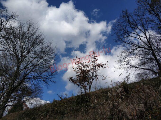 奈良　吉野山　紅葉　花見　桜