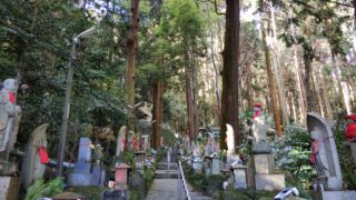 【近畿旅行】兵庫・大阪・奈良