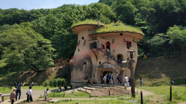 加治丘陵 入間 飯能 アウトドア 登山