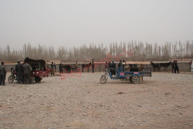 中国旅行　新疆ウイグル自治区　ウルムチ　カシュガル　タシュクルガン 　イスラム　シルクロード