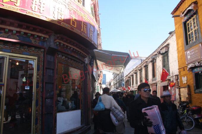 中国旅行 チベット 仏教 ポタラ宮 ラサ ギャンツェ シガツェ ノルブリンカ ジョカン セラ・ゴンパ コルラ　ダライ・ラマ