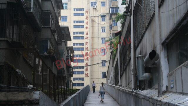 中国旅行 河南省 省都 鄭州 商王朝 殷王朝