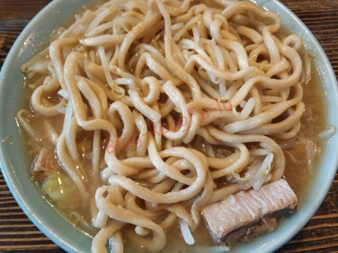 静岡県富士市 メガドンキ ラーメン 大山 ニンニク 二郎系