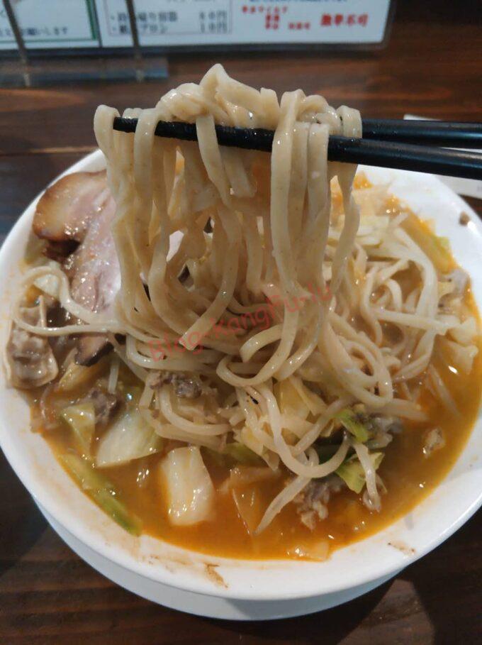 名古屋市中川区 ラーメン 達磨食堂 知多牛 ビーフカレー ニンニク ホルモン