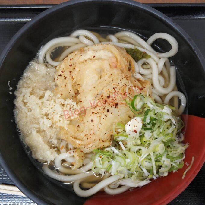 名古屋市千種区 今池 きっちょううどん 宮崎うどん 天ぷら 野菜天