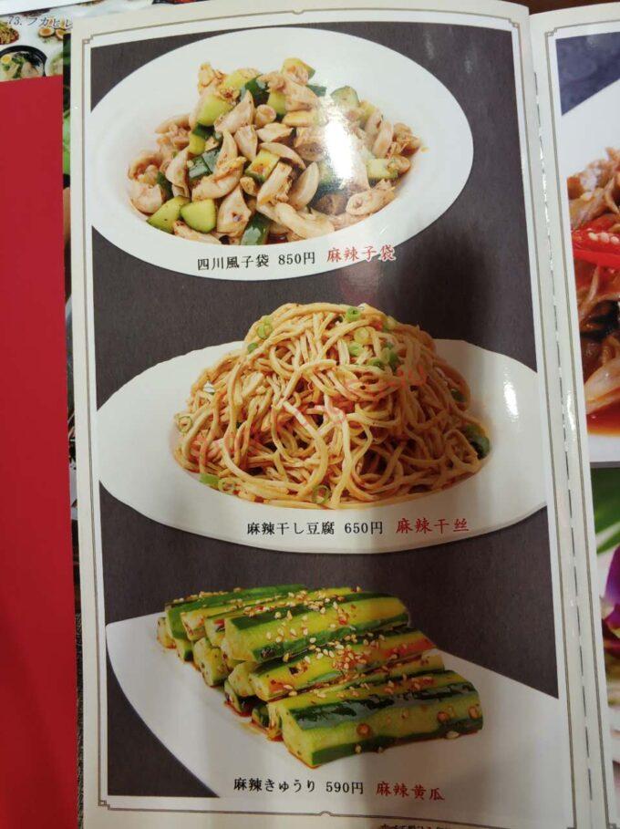 名古屋市中川区 新四川 中華料理 ガチ中華 大陸系中華 鴨血 ホルモン 定食