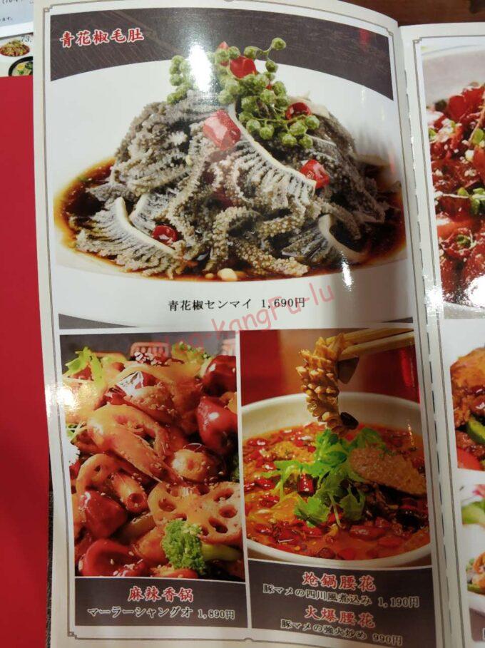 名古屋市中川区 新四川 中華料理 ガチ中華 大陸系中華 鴨血 ホルモン 定食