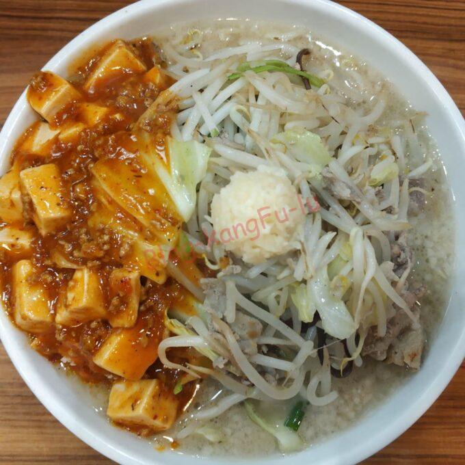 名古屋市東区 タンメン ニュータマヤ 大陸ラーメン 中華料理 町中華 ニンニク 麻婆豆腐 蒙古タンメン中本