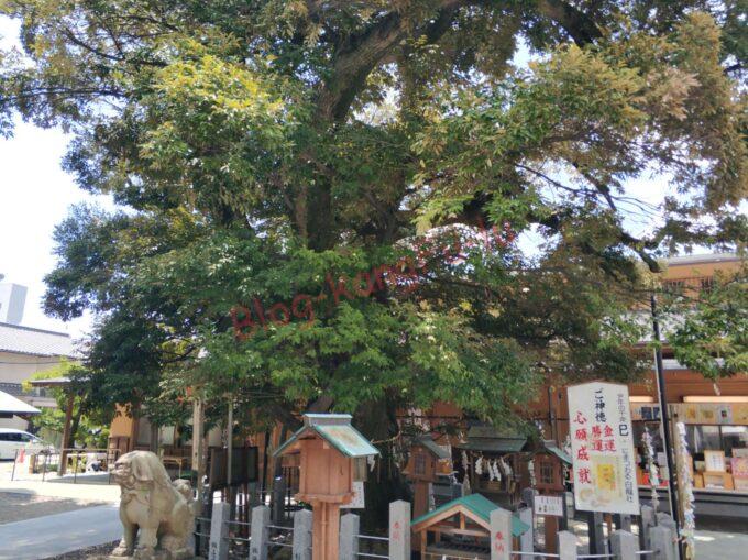 名古屋市西区 伊奴神社