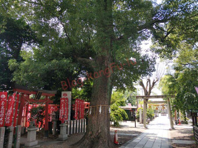 名古屋市西区 伊奴神社