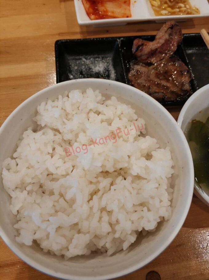 名古屋市天白区 テンスタ 焼肉 ホルモン カルビ ナムル サラダ ロースター