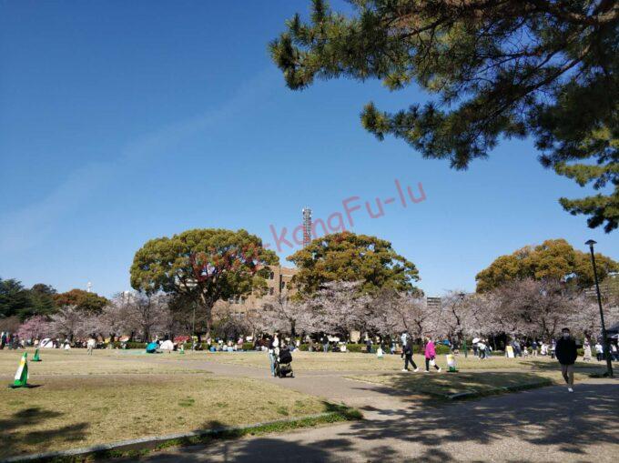 名古屋丸の内 肉うどんさんすけ ラーメン 二郎系 さんすけうどん 肉味噌 ライス