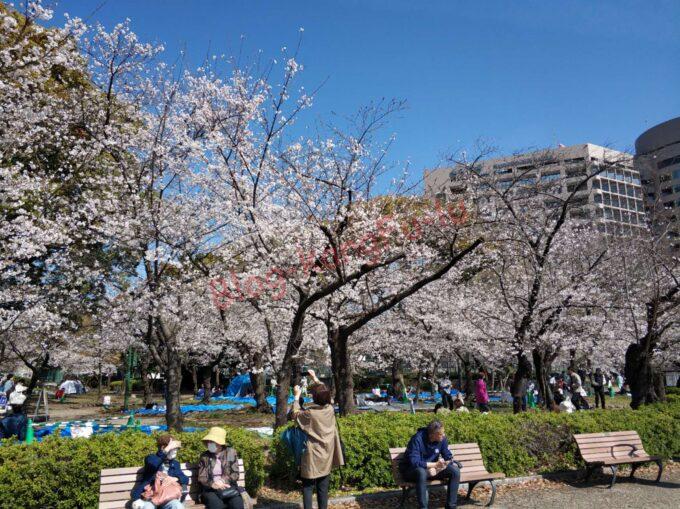 名古屋丸の内 肉うどんさんすけ ラーメン 二郎系 さんすけうどん 肉味噌 ライス