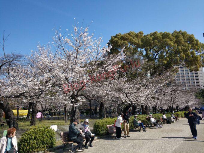 名古屋丸の内 肉うどんさんすけ ラーメン 二郎系 さんすけうどん 肉味噌 ライス